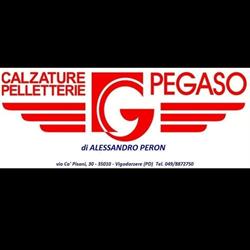 Pegaso, Vigodarzere orari di apertura