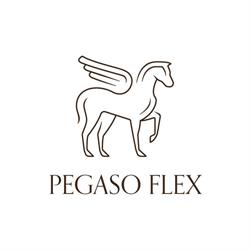 Pegaso Flex, Pomezia orari di apertura