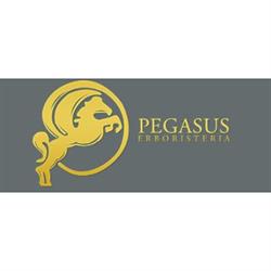 Erboristeria Pegasus, Firenze orari di apertura