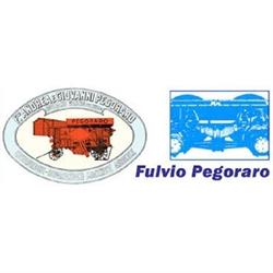 Officina Pegoraro Fulvio, Rossano Veneto orari di apertura