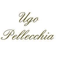 Ugo Pellecchia di Annamaria Pellecchia - Fiori e piante, Salerno orari di apertura