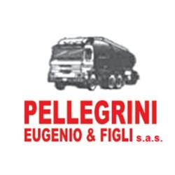 Pellegrini Eugenio & Figli Sas, Massa e Cozzile orari di apertura