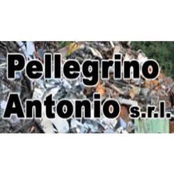 Pellegrino Antonio, Borgo San Dalmazzo orari di apertura