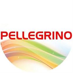 PELLEGRINO Finestre Porte Zanzariere Tende Grate Pergolati S.r.l. Ravenna, orari di apertura