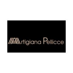 Artigiana Pellicce, Modena orari di apertura