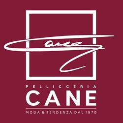 Pellicceria Cane, Vigevano orari di apertura