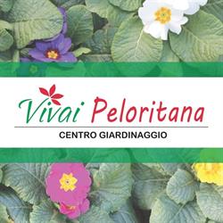 Peloritana SRL, Palermo orari di apertura