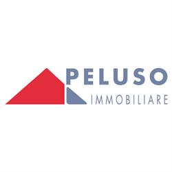 Peluso Immobiliare SRL, Roma orari di apertura