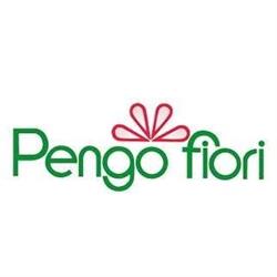 Pengo Fiori SRL, Vigonza orari di apertura