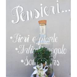 Fiori e Piante Pensieri..., La Morra orari di apertura