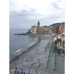 Albergo Soggiorno Selene, Camogli orari di apertura