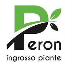 Peron Luigi (Srl), Borgoricco orari di apertura