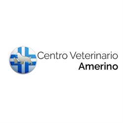 Ambulatorio Medico Veterinario Dr. Persichetti Piero, Amelia orari di apertura