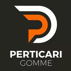 PERTICARI GOMME DI PERTICARI A., Torino orari di apertura