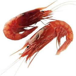 Pescheria Delmonte, Imperia orari di apertura