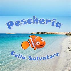 Pescheria Di Collu Salvatore, Nuoro orari di apertura