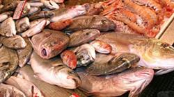 Pescheria Da Zingone, Manfredonia orari di apertura