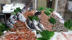 Pescheria La Lanterna, Cortona orari di apertura