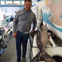 Pescheria Oceania, Avezzano orari di apertura