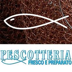 Pescheria Pescotteria 2, Preganziol orari di apertura