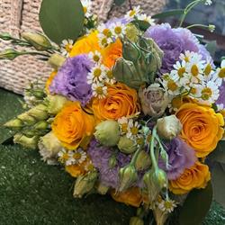 Petali Piante e Fiori, Grottammare orari di apertura