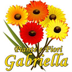 Piante e fiori Gabriella - Fiorista - Consegna fiori Modena, orari di apertura