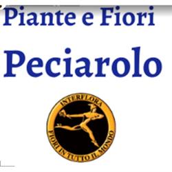 Fiorista Peciarolo, Borgomanero orari di apertura