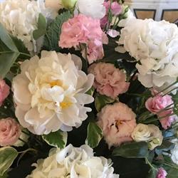 Piante e Fiori Di Franco Anna, Altavilla Milicia orari di apertura