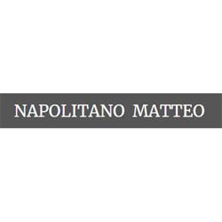 PIANTE E FIORI DI NAPOLITANO MATTEO - AGENZIA FUNEBRE H24, San Marco in Lamis orari di apertura