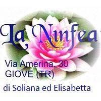 Piante E Fiori La Ninfea Di Cappuccino Soliana, Giove orari di apertura