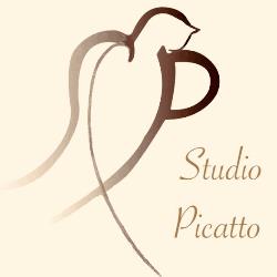 Studio Dentistico Picatto, Ciriè orari di apertura