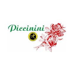 Fiorista Piccinini, Ravenna orari di apertura