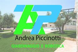 Piccinotti Andrea, Calcinato orari di apertura