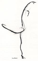 Piccolo Teatro della Città di Udine - Danza Musica e Recitazione, orari di apertura