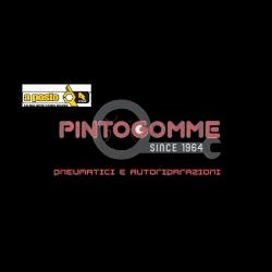 PINTO GOMME S.A.S. - Driver Center Pirelli TORINO, Torino orari di apertura