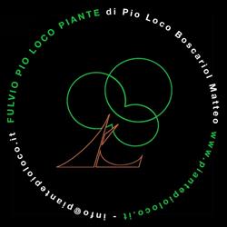Pio Loco Fulvio, Breda di Piave orari di apertura