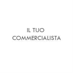 Il Tuo Commercialista Srl-Stp Unico Socio, Torremaggiore orari di apertura
