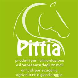 Pittia Enrico & C. (S.n.c.) Pavia di Udine, Percoto - Orari di apertura
