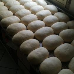 Pizza Shop Maggiolino S.n.c., Mirandola orari di apertura