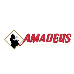 Amadeus - Ristorante pizzeria, Chieti orari di apertura