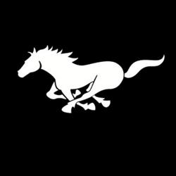 Pizzeria Black Horse, Presezzo orari di apertura