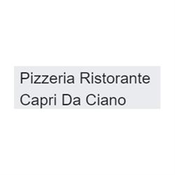 Ristorante Pizzeria Capri, Venezia orari di apertura