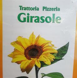 Pizzeria Girasole Snc, Ovada orari di apertura