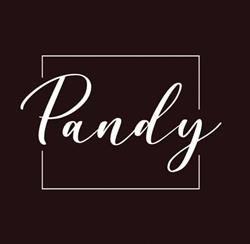 Pizzeria Pandy, Saronno orari di apertura