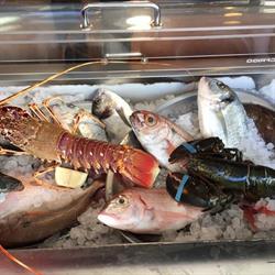 La Lampara Trattoria e Pizzeria Napoletana, Portoferraio orari di apertura