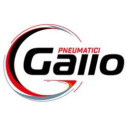 Gallo Srl - Pneumatici Brendolan, Aosta orari di apertura