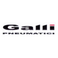 Pneumatici Galli, Biandrate orari di apertura