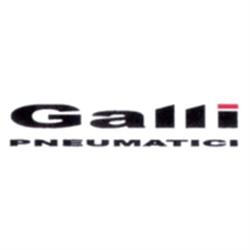 Pneumatici Galli, Biandrate orari di apertura