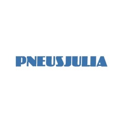 PNEUSJULIA SRL - Driver Center Pirelli MANZANO, Manzano orari di apertura