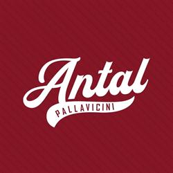 Polisportiva Antal Pallavicini, Bologna orari di apertura